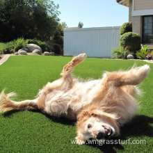 Pet Artificial Grass Mat For Puppies